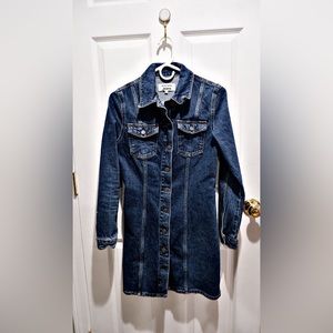 Reformation Newman Denim Mini Dress in Amani